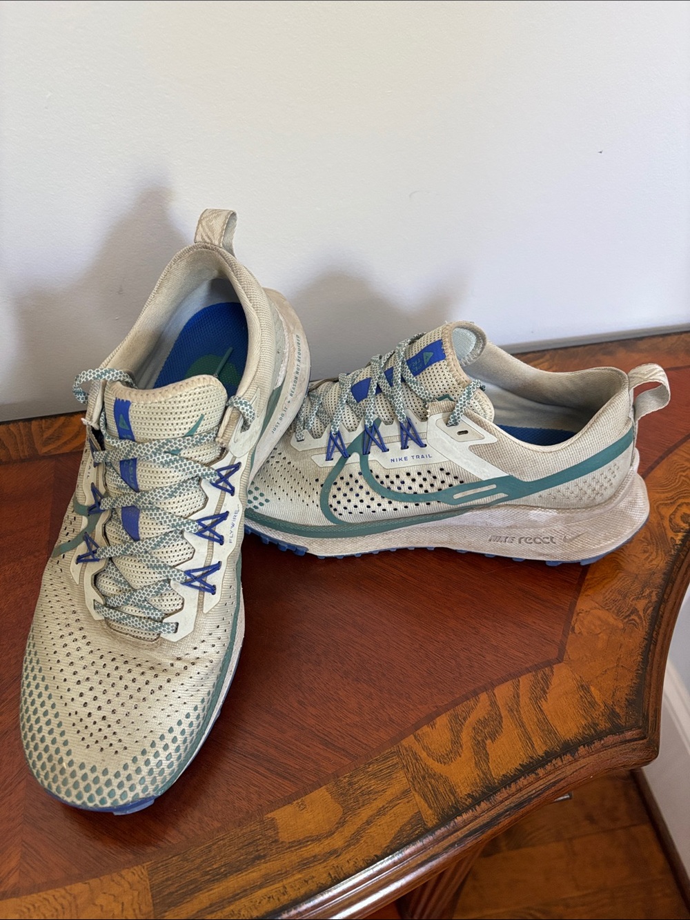 Mens Nike Pegasus Trail. 10.5. Gray.